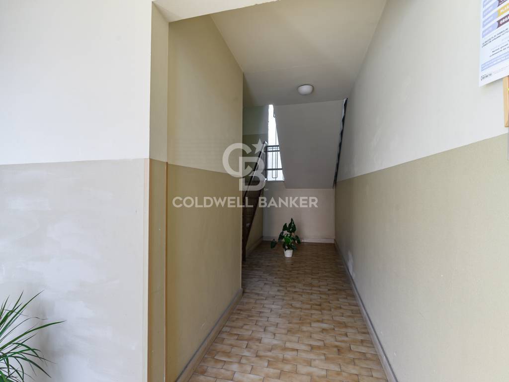 4 o pi locali in vendita a Tarquinia, Top 16