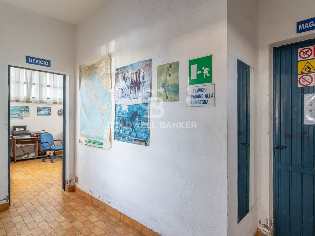 Capannone industriale in vendita a Tarquinia, Artigianale