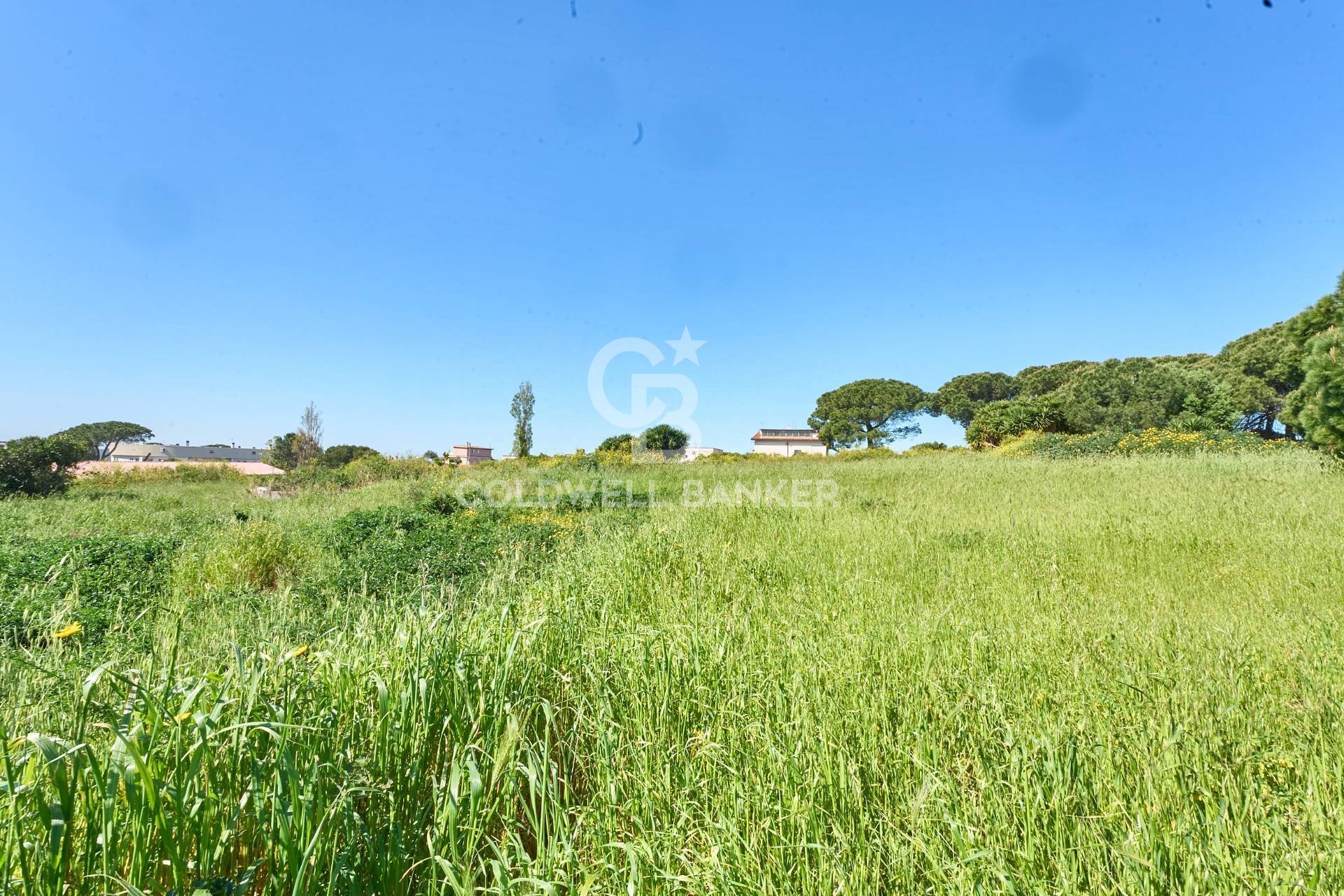 Terreno agricolo in vendita a Santa Marinella, Aurelia Vecchia/Quartaccia