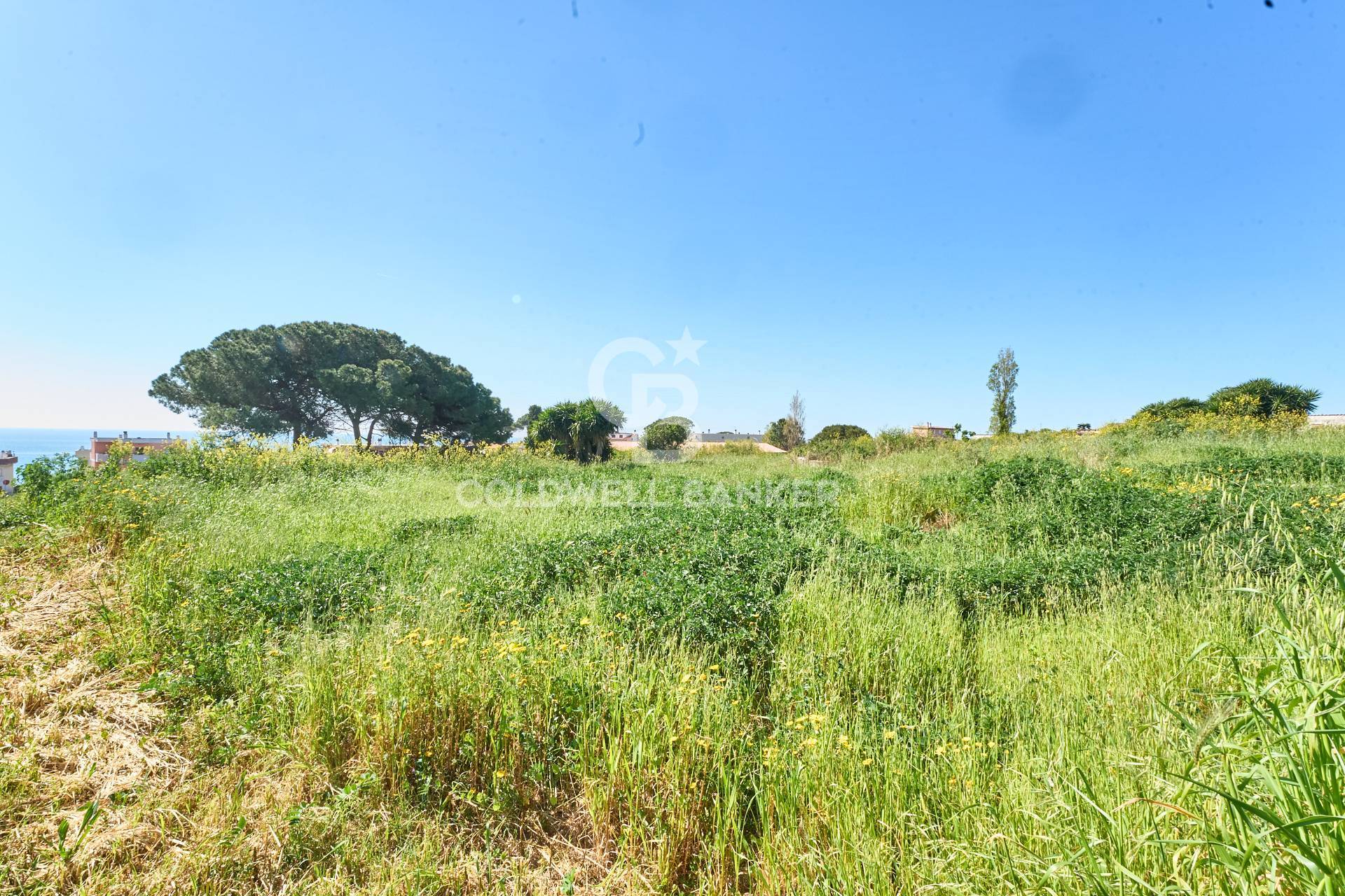 Terreno agricolo in vendita a Santa Marinella, Aurelia Vecchia/Quartaccia