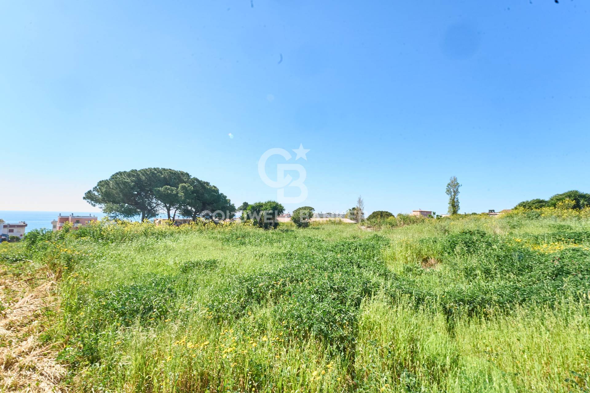 Terreno agricolo in vendita a Santa Marinella, Aurelia Vecchia/Quartaccia