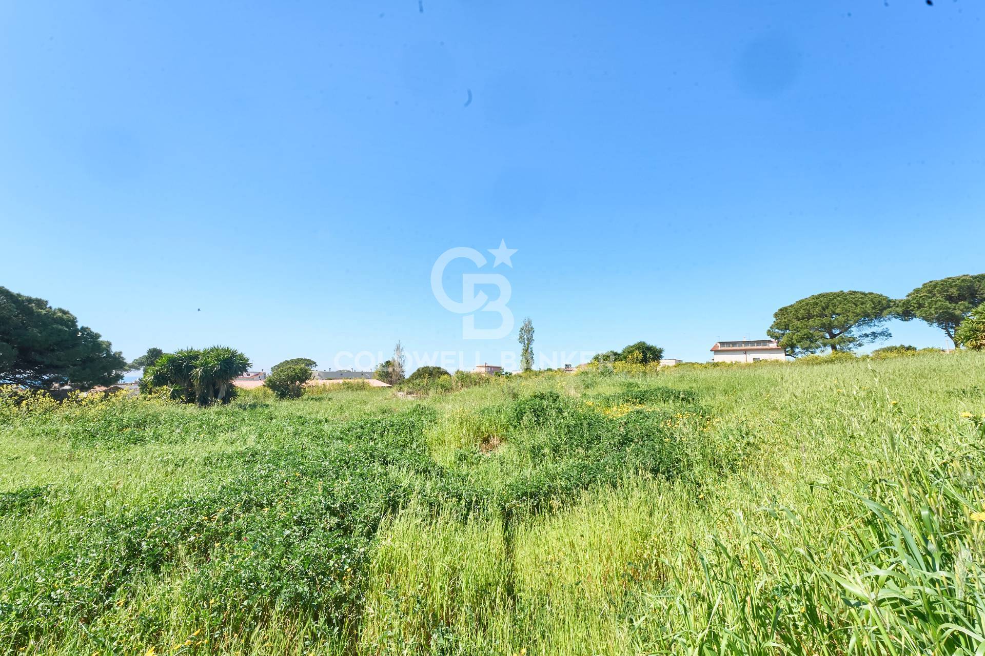 Terreno agricolo in vendita a Santa Marinella, Aurelia Vecchia/Quartaccia