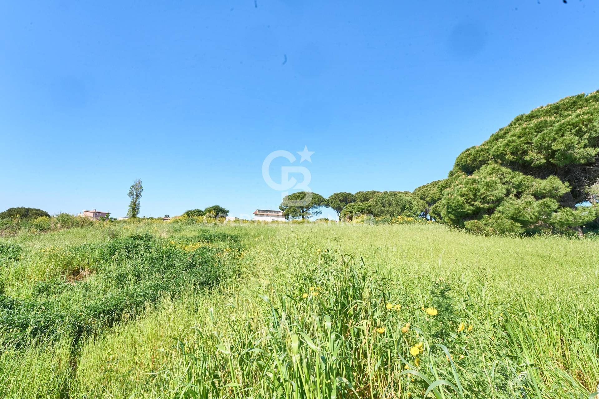 Terreno agricolo in vendita a Santa Marinella, Aurelia Vecchia/Quartaccia