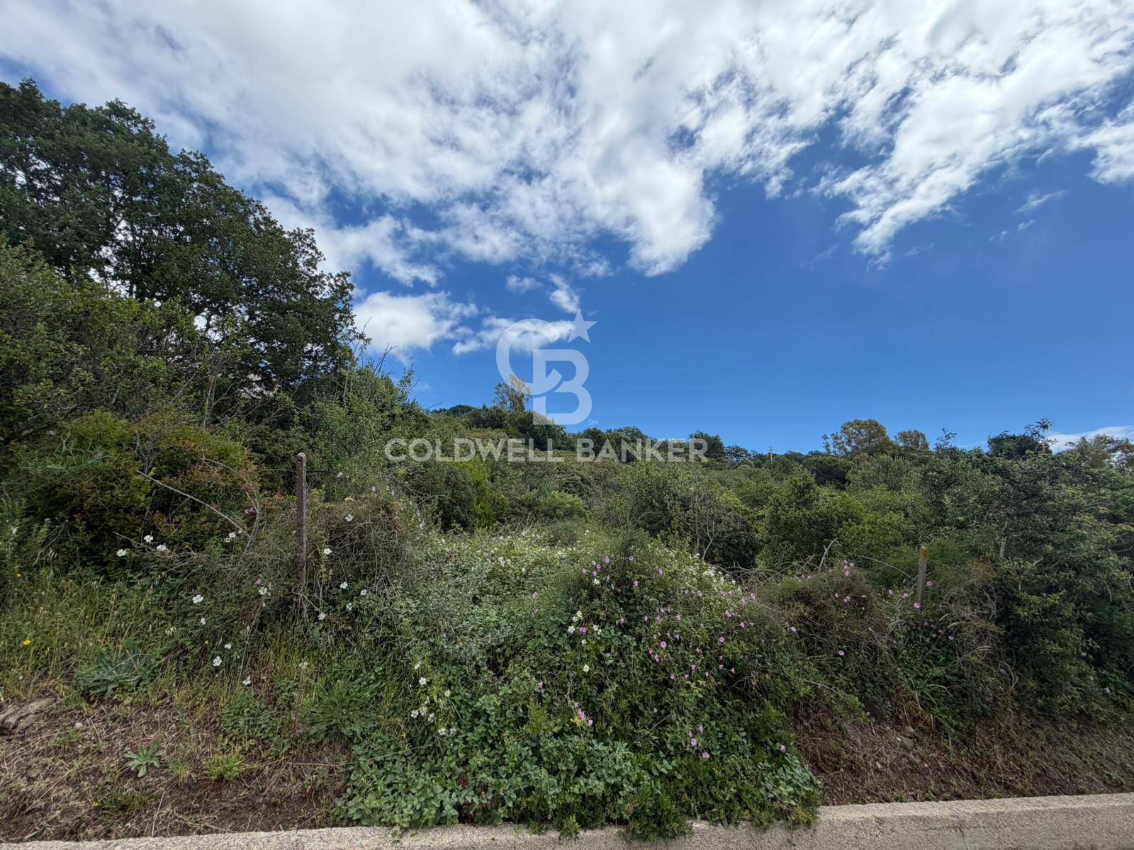 Terreno agricolo in vendita a Santa Marinella, Belvedere/Colfiorito