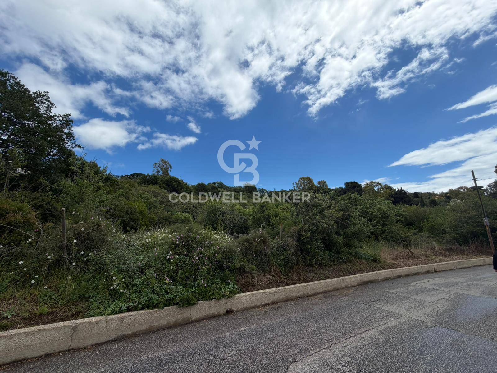 Terreno agricolo in vendita a Santa Marinella, Belvedere/Colfiorito