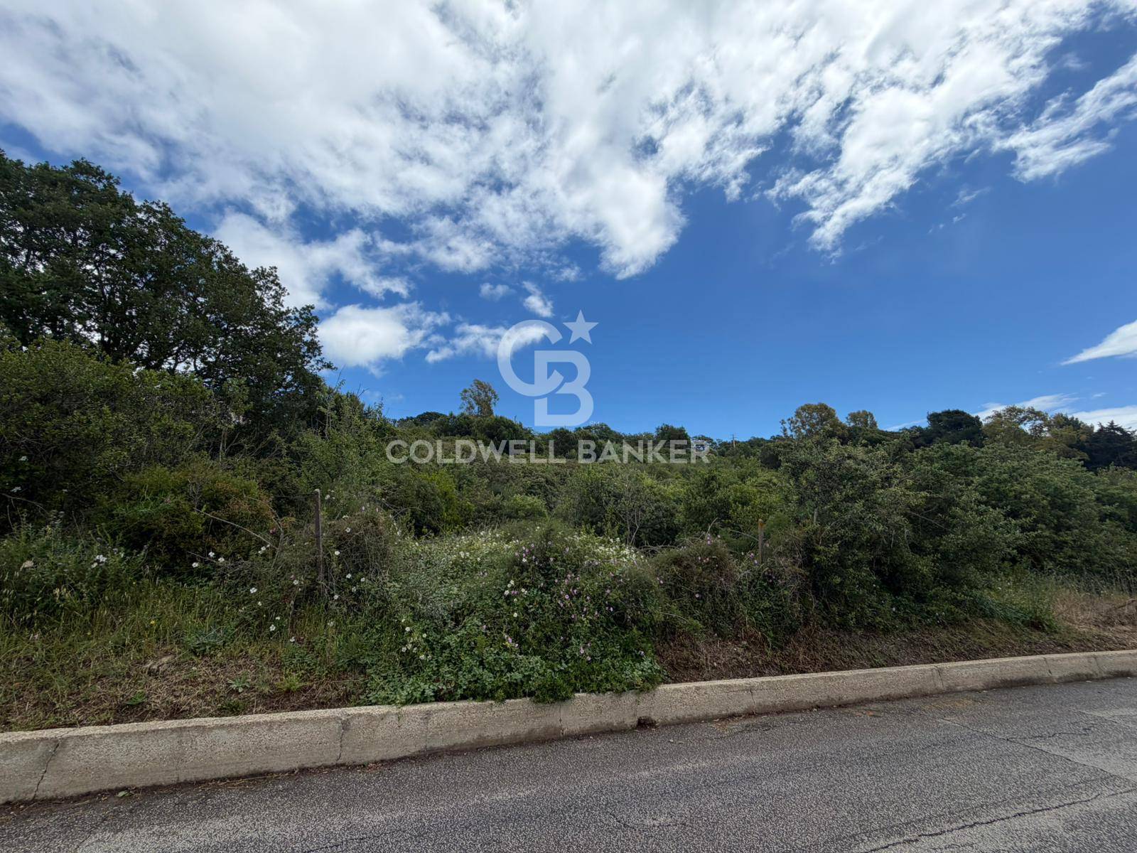 Terreno agricolo in vendita a Santa Marinella, Belvedere/Colfiorito
