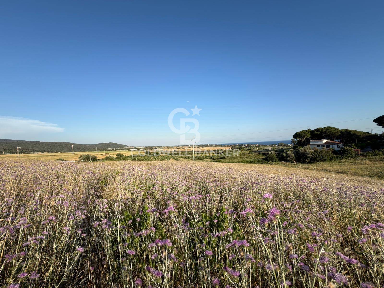 Terreno agricolo in vendita a Santa Marinella, Aurelia Vecchia/Quartaccia
