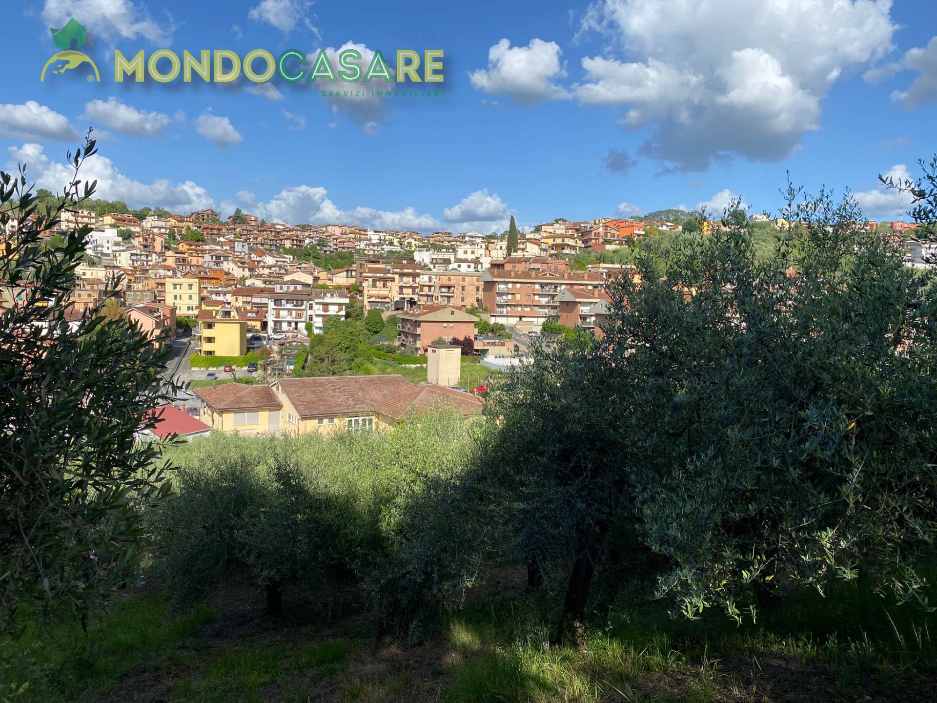immagine annuncio 1 di 6