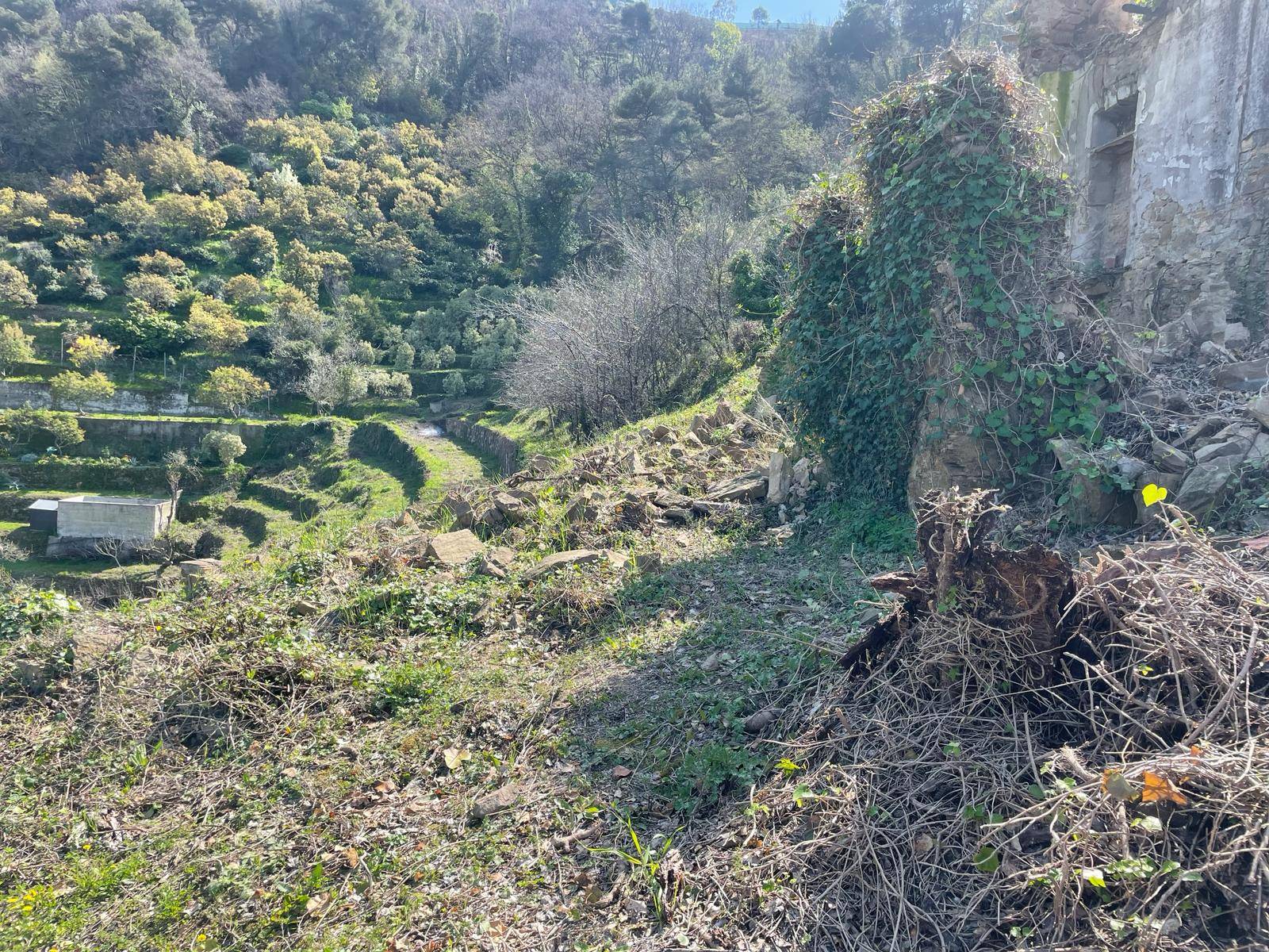 Terreno edificabile in vendita a San Biagio della Cima