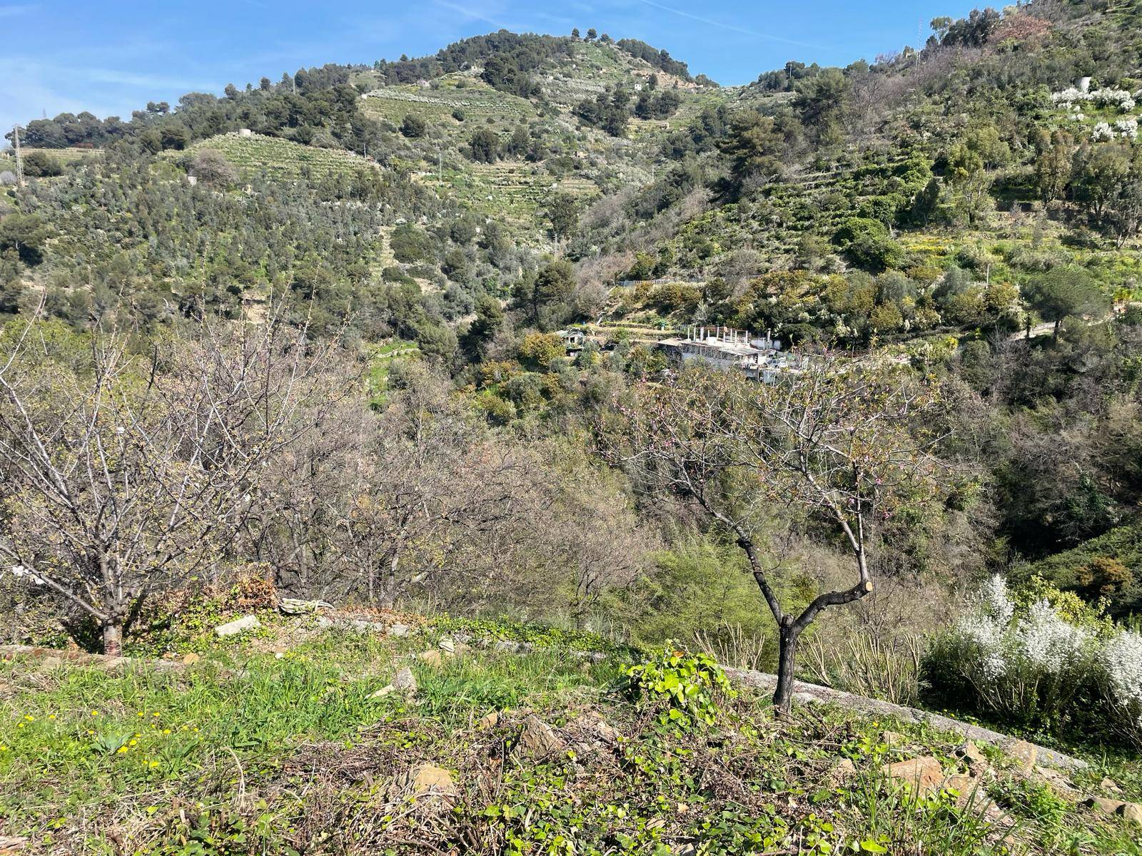 Terreno edificabile in vendita a San Biagio della Cima
