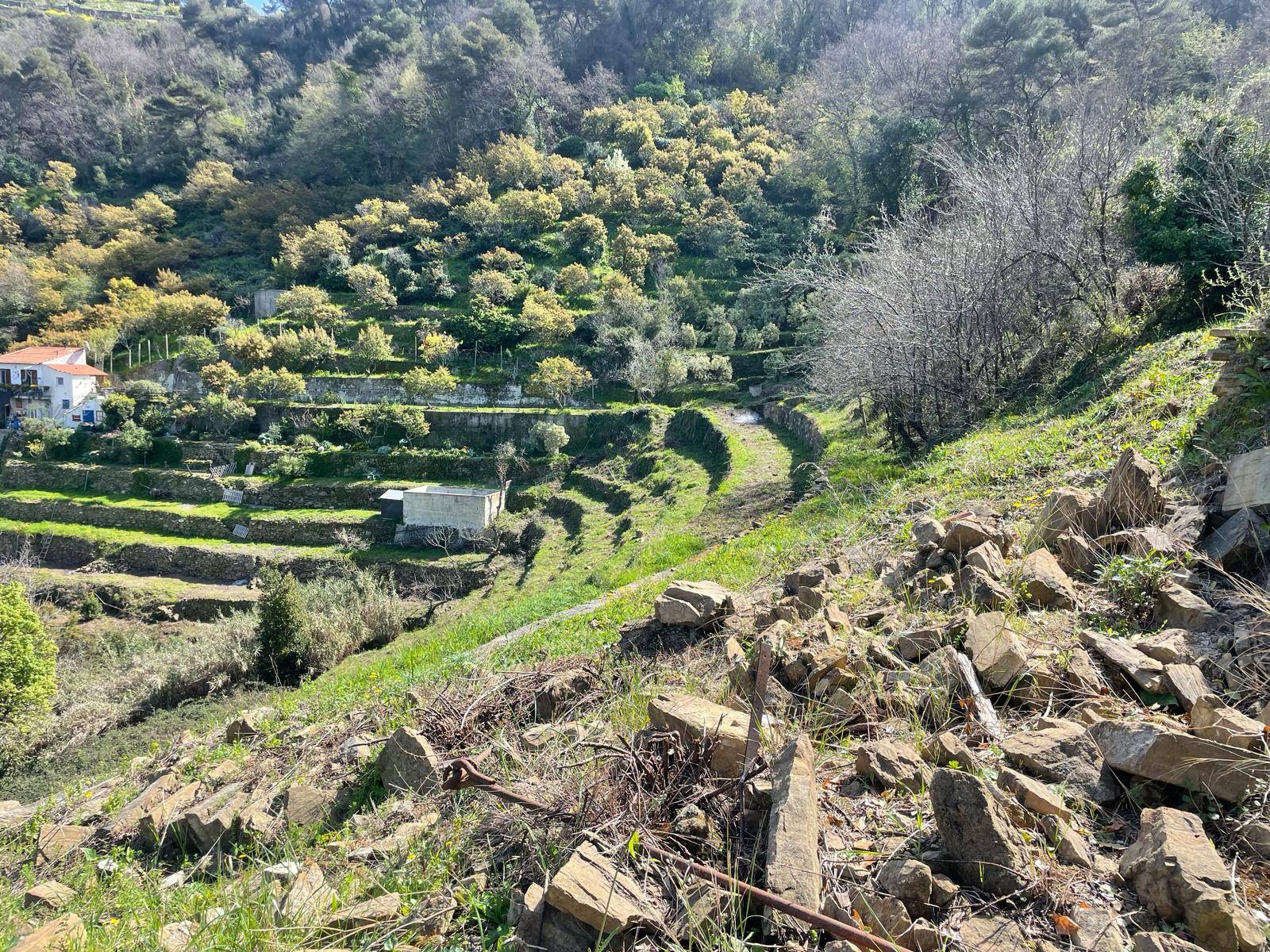 Terreno edificabile in vendita a San Biagio della Cima