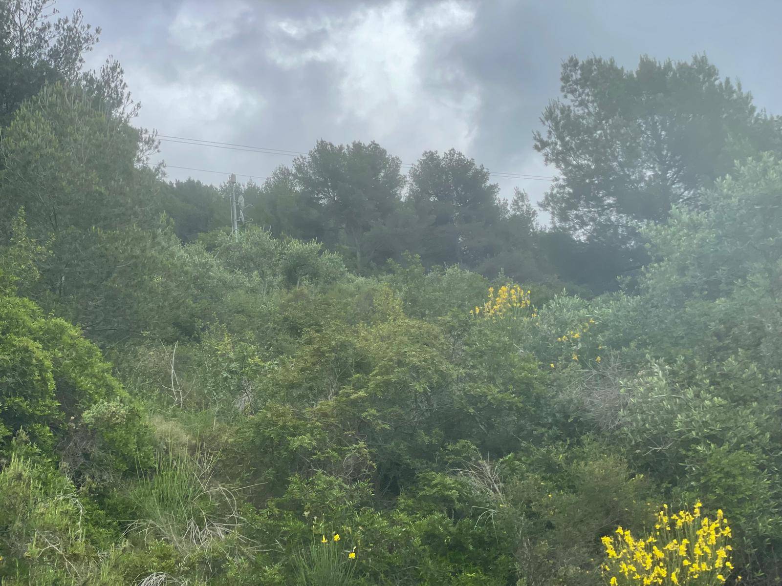 Terreno in vendita a Ventimiglia