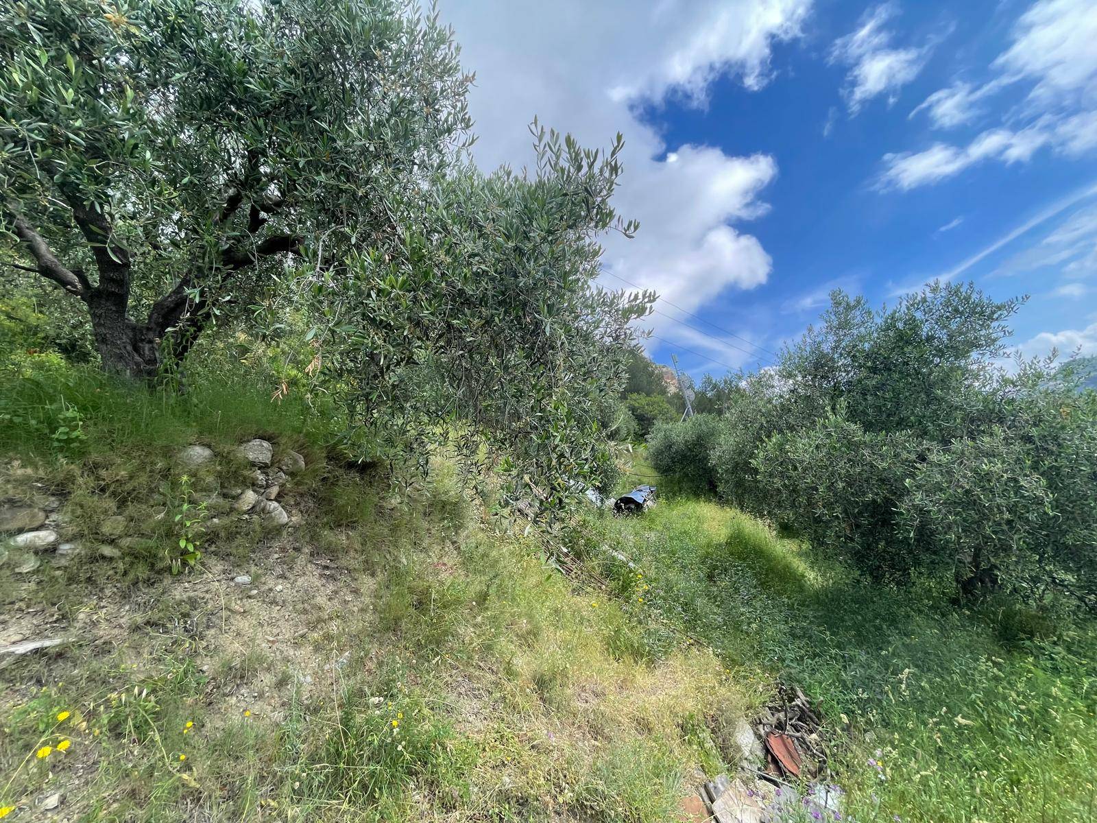 Terreno in vendita a Ventimiglia