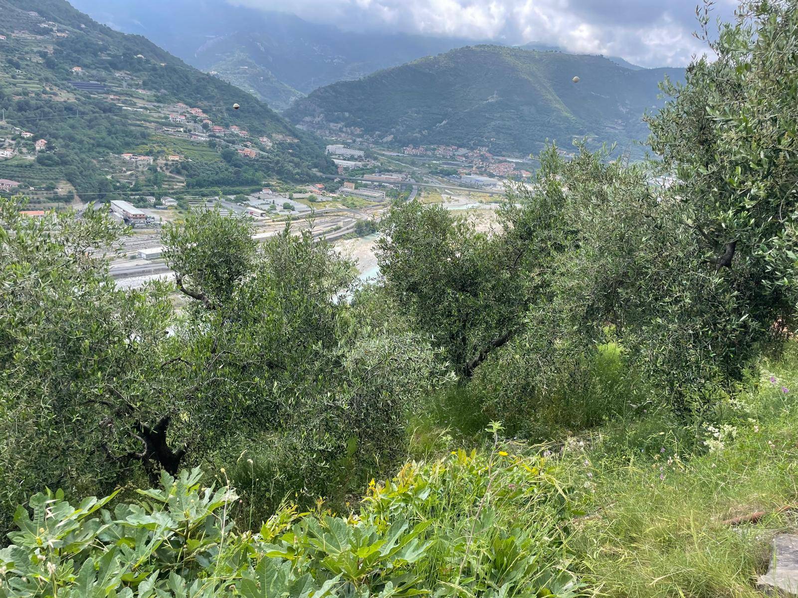 Terreno in vendita a Ventimiglia