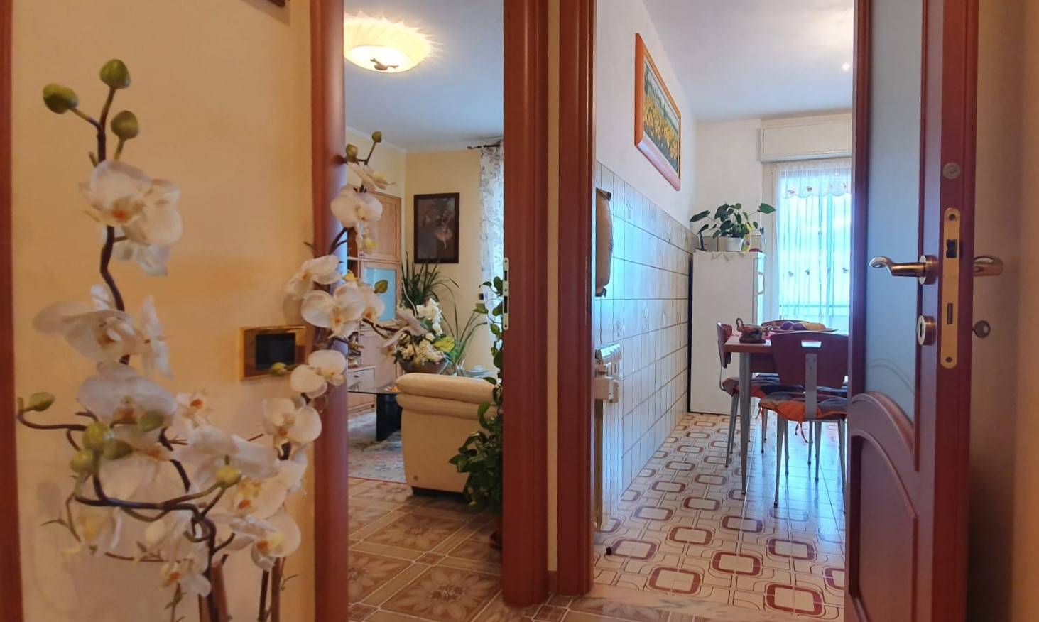 immagine annuncio 1 di 6