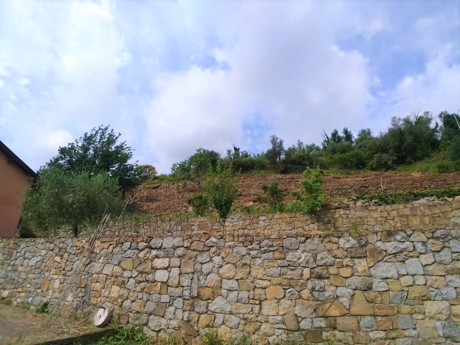 immagine annuncio 2 di 6