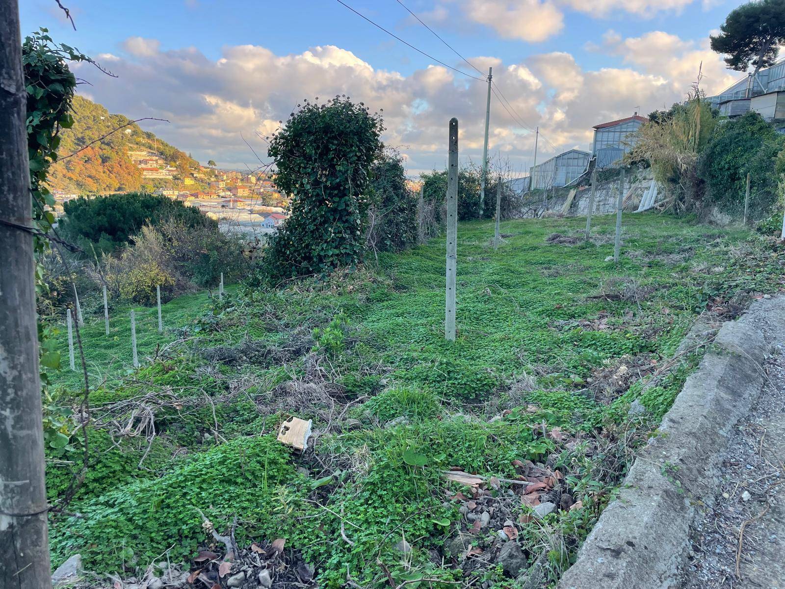 Terreno edificabile in vendita a Camporosso