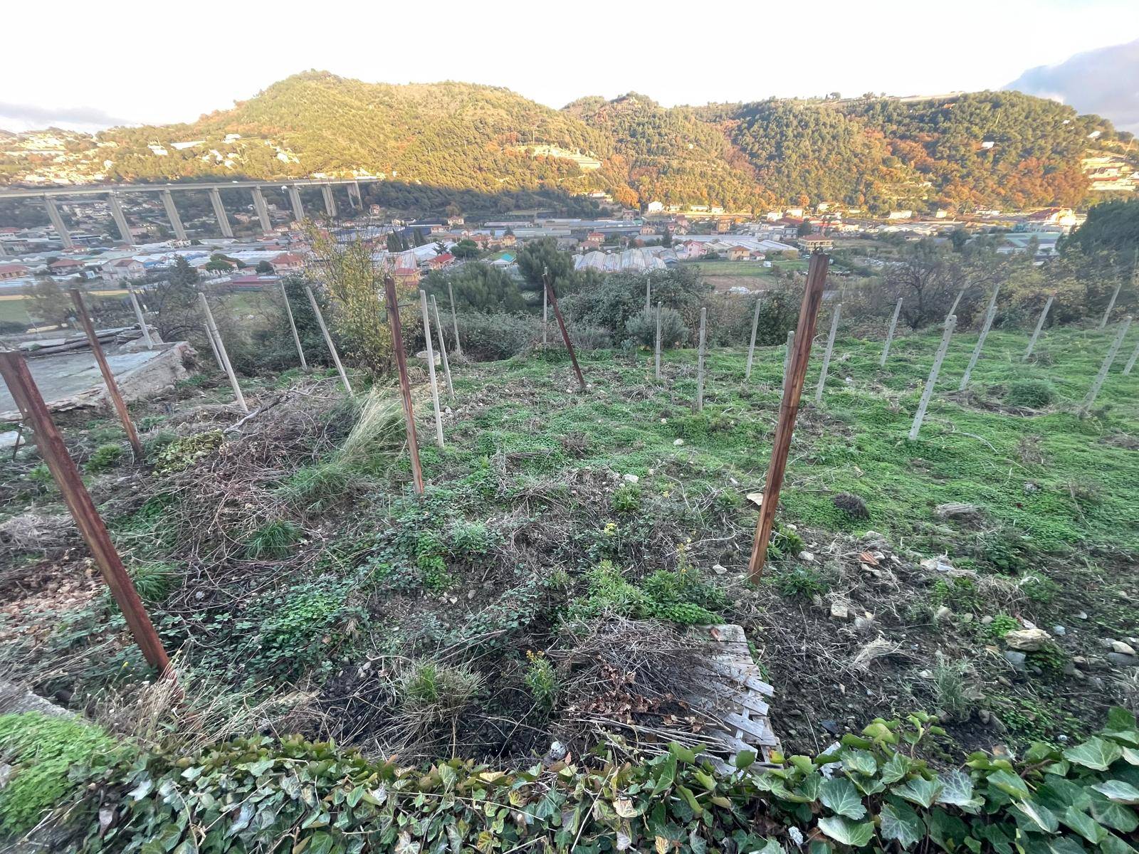 Terreno edificabile in vendita a Camporosso