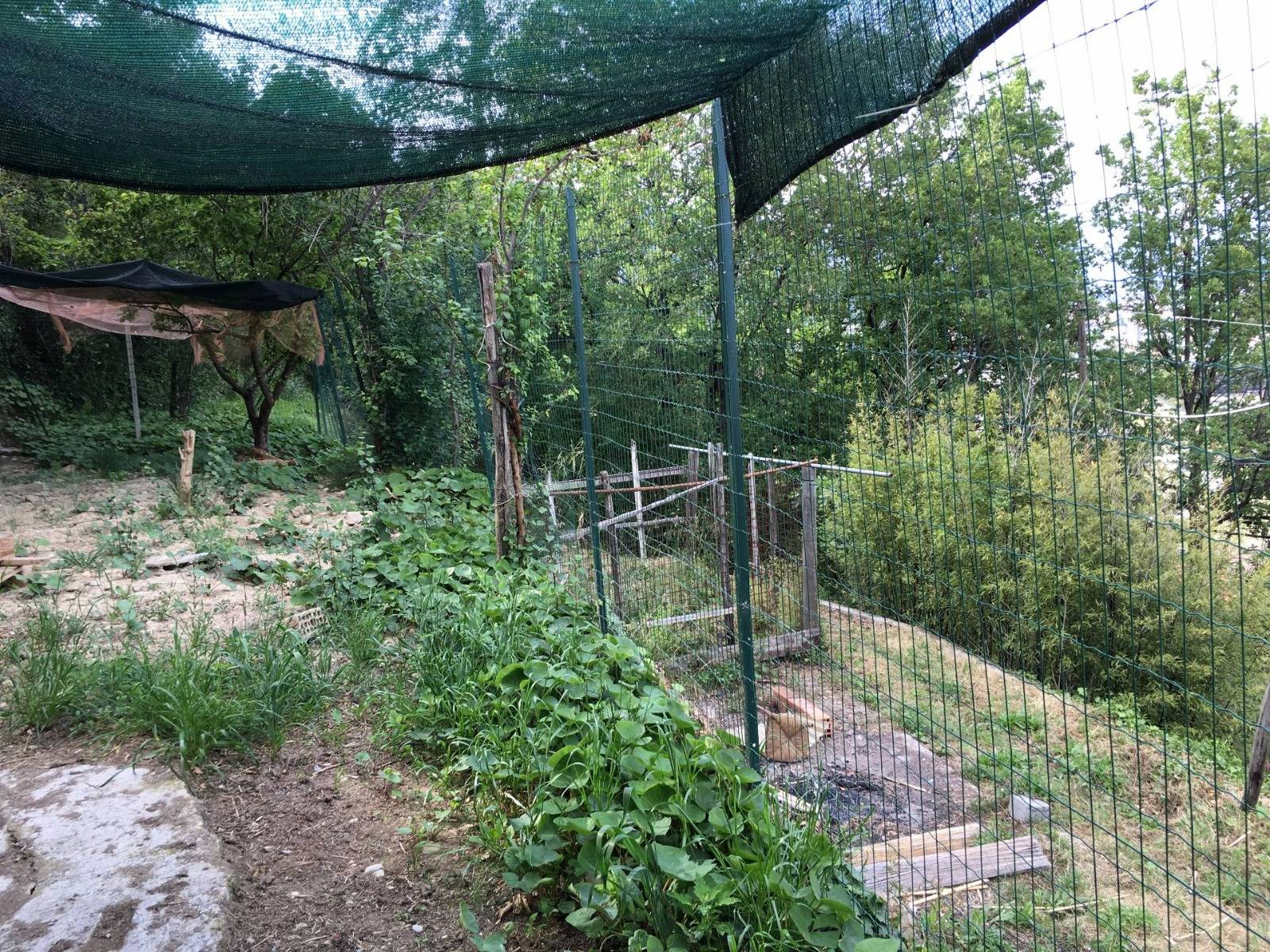 Terreno edificabile in vendita a Camporosso