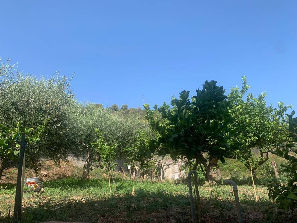 Appartamento in vendita a Ventimiglia, Bevera