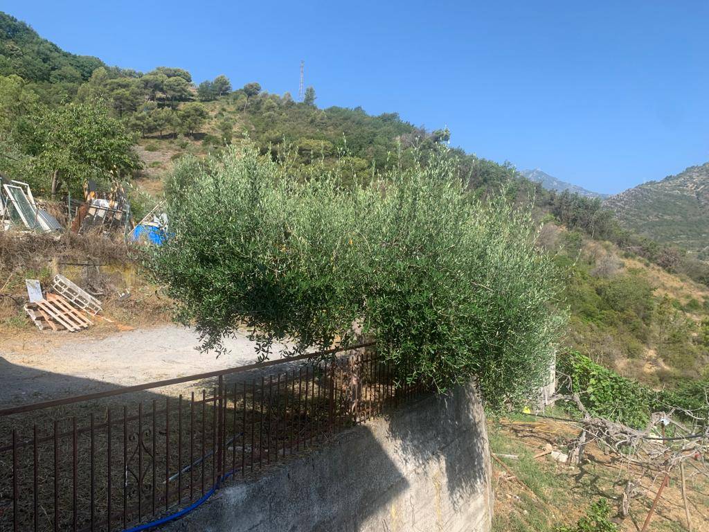 Appartamento in vendita a Ventimiglia, Bevera