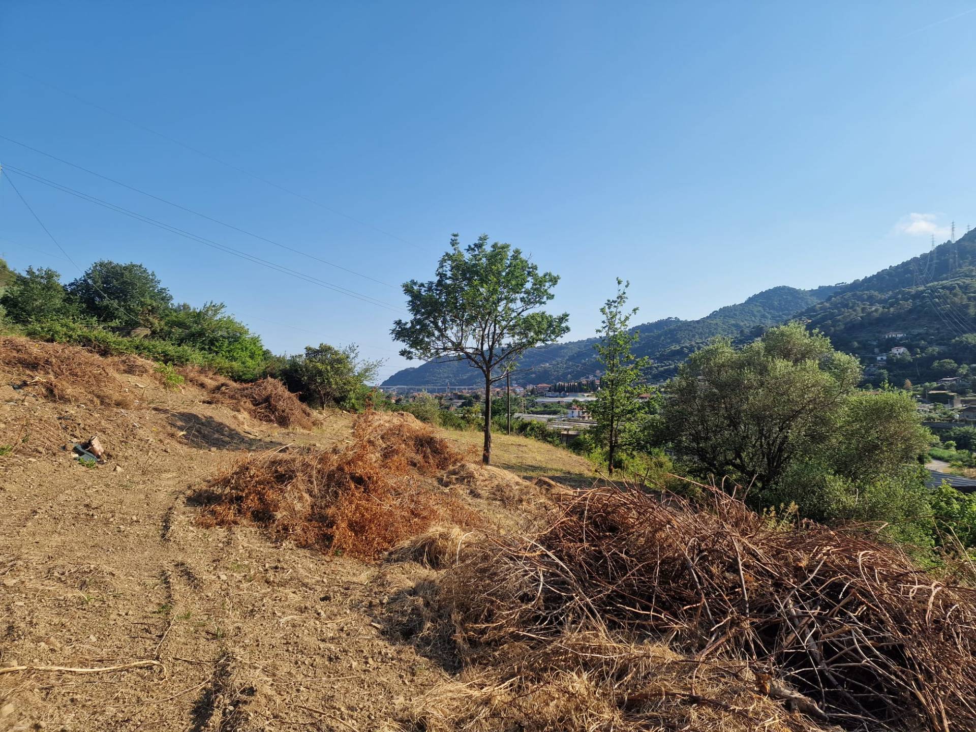 Terreno edificabile in vendita a Camporosso