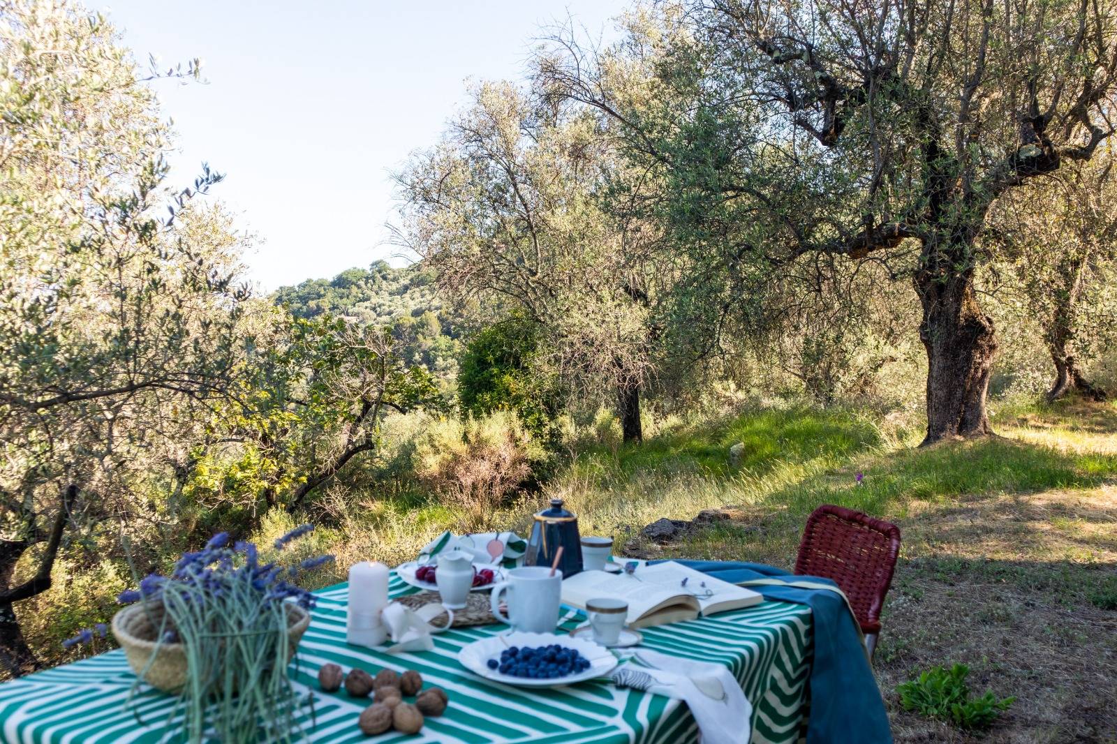 Casa indipendente in vendita a Dolceacqua