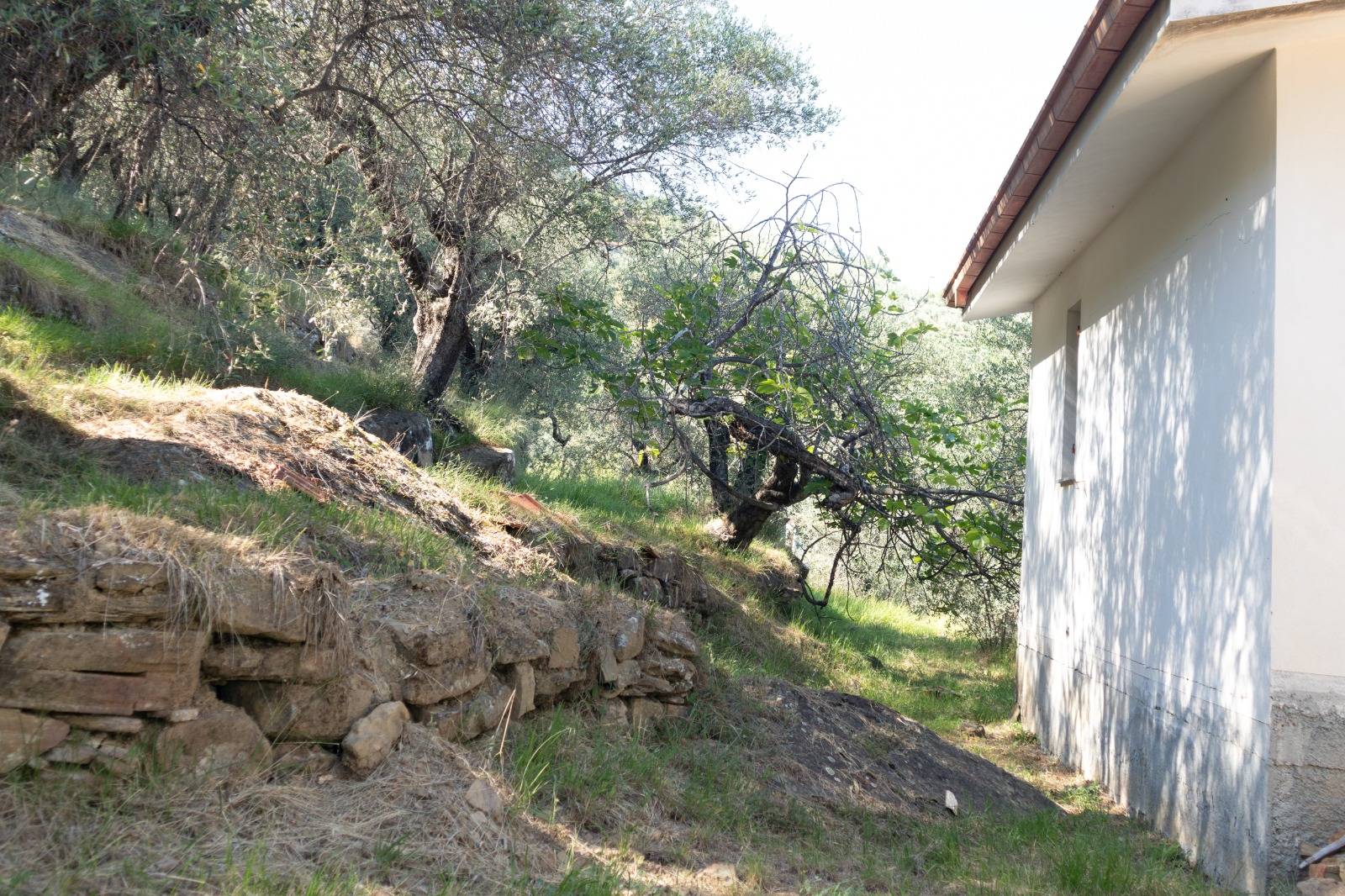 Casa indipendente in vendita a Dolceacqua