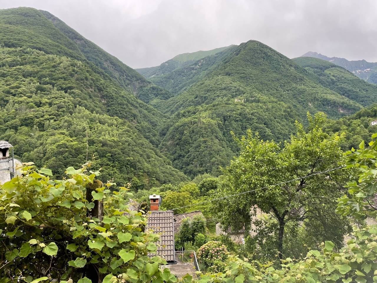 immagine annuncio 3 di 6