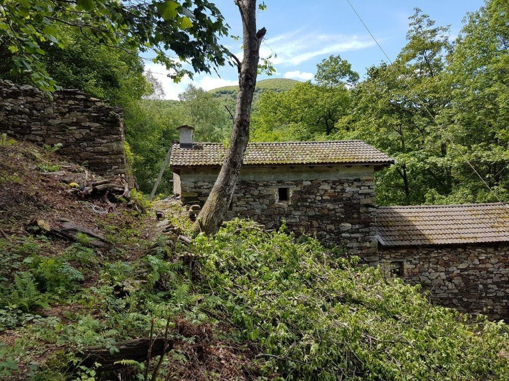 Rustico in vendita a Gurro