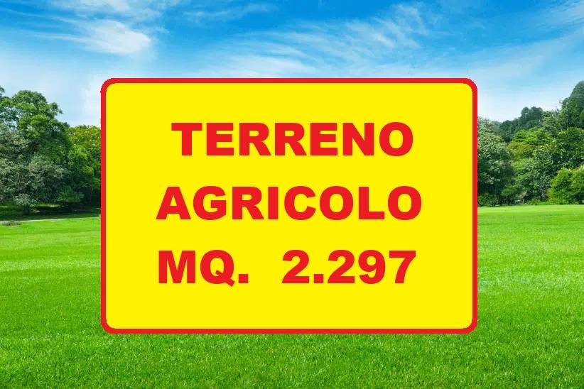 Terreno Agricolo in vendita a Cannobio
