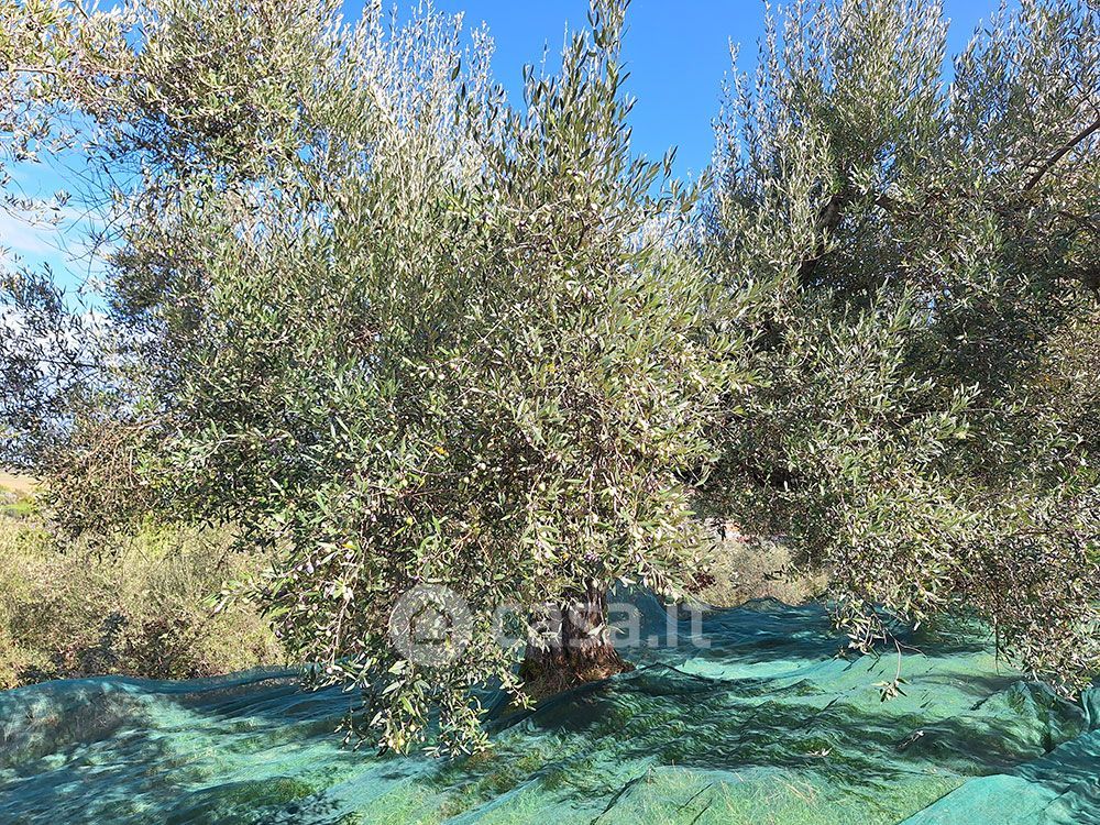 Terreno in vendita a Magione