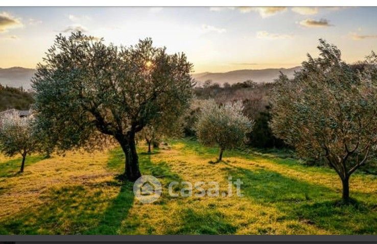 Terreno in vendita a Magione