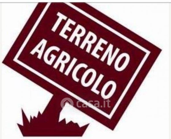 Terreno in vendita a Magione