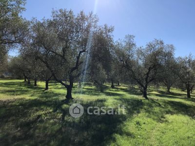 Terreno in vendita a Deruta