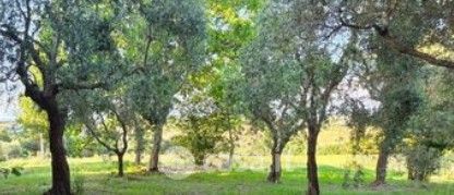 Terreno in vendita a Perugia