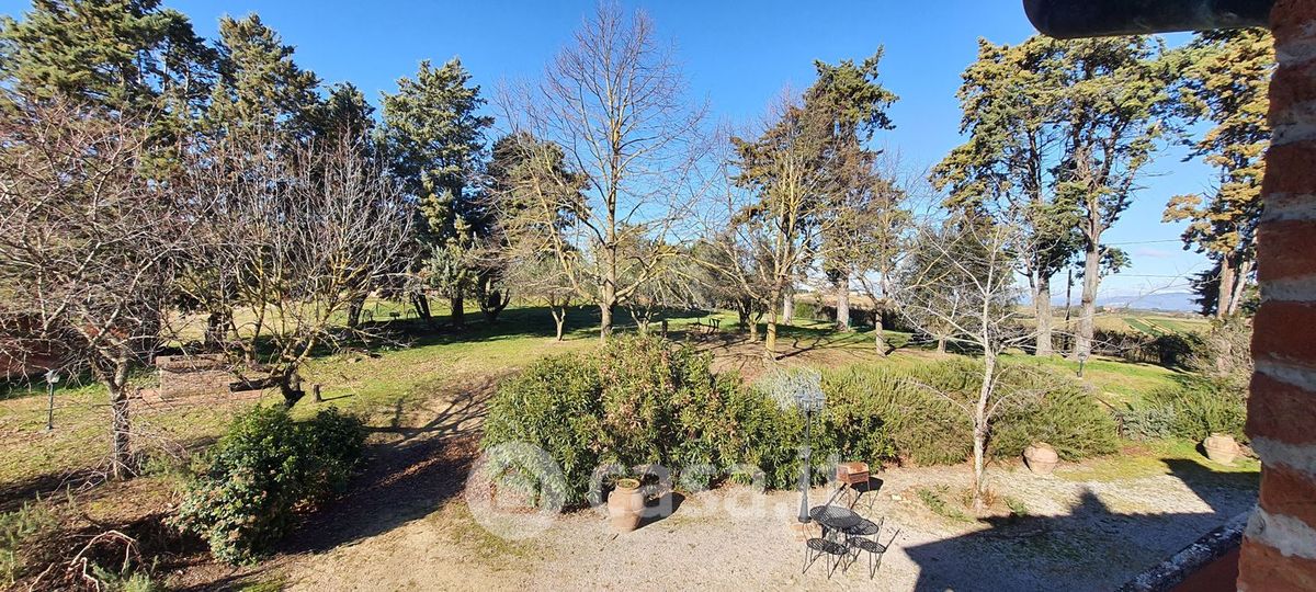 Attivit� commerciale in vendita a Castiglione del Lago
