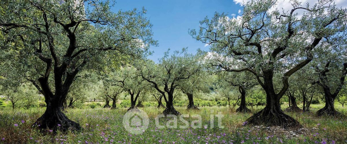 Terreno in vendita a Deruta