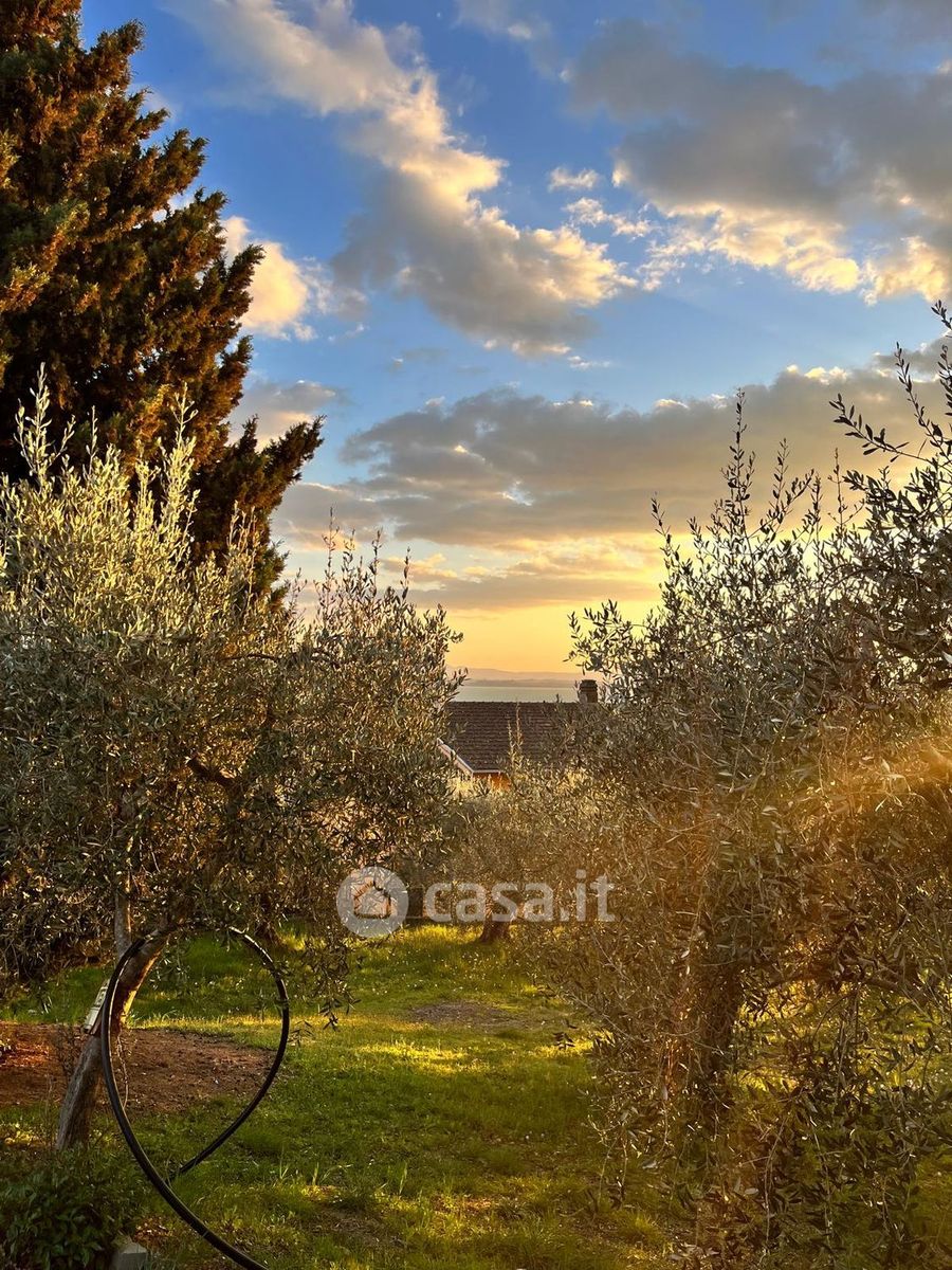 Terreno vista lago a Passignano sul Trasimeno