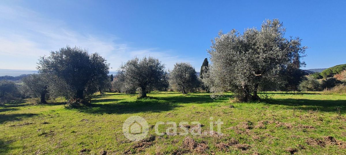 Terreno in vendita a Tuoro sul Trasimeno