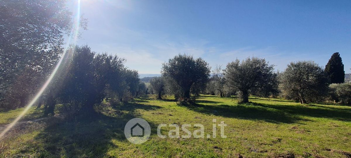 Terreno in vendita a Tuoro sul Trasimeno