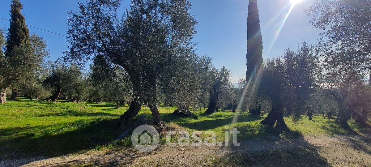 Terreno in vendita a Tuoro sul Trasimeno
