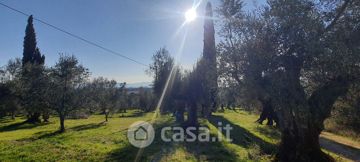 Terreno in vendita a Tuoro sul Trasimeno