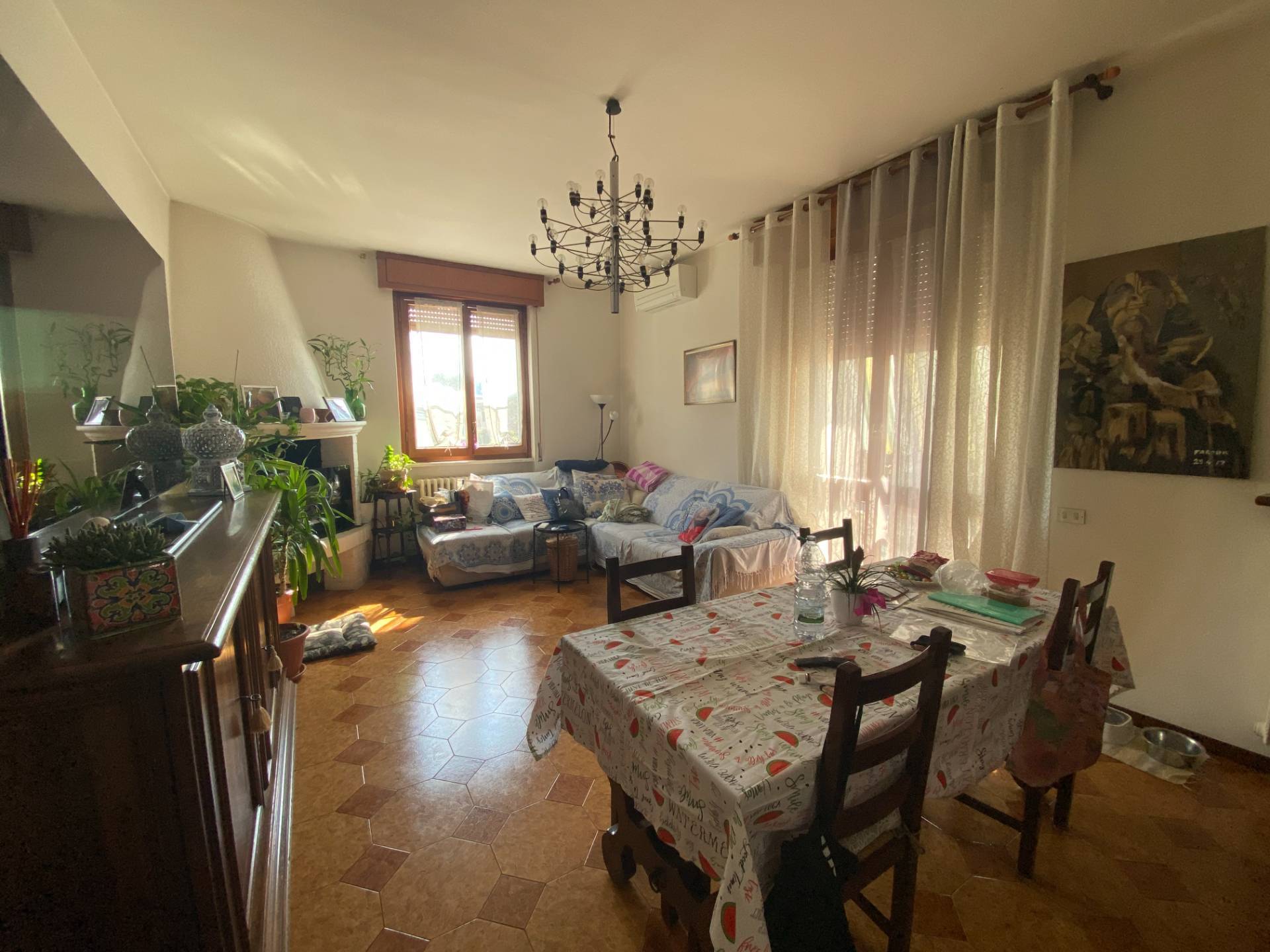 immagine annuncio 5 di 6