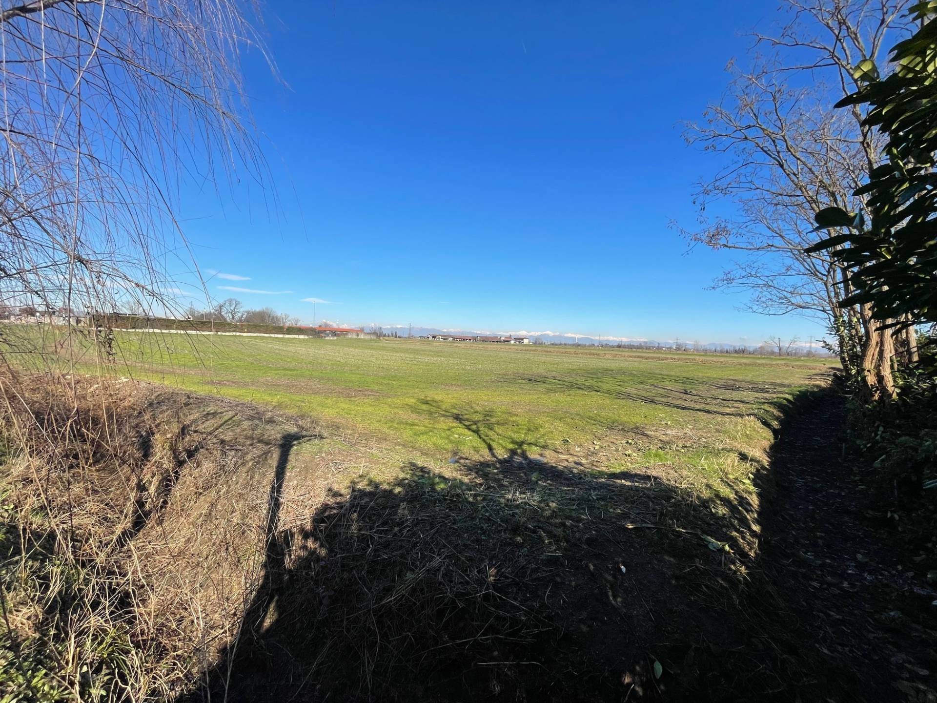 Terreno Agricolo in vendita a Comazzo