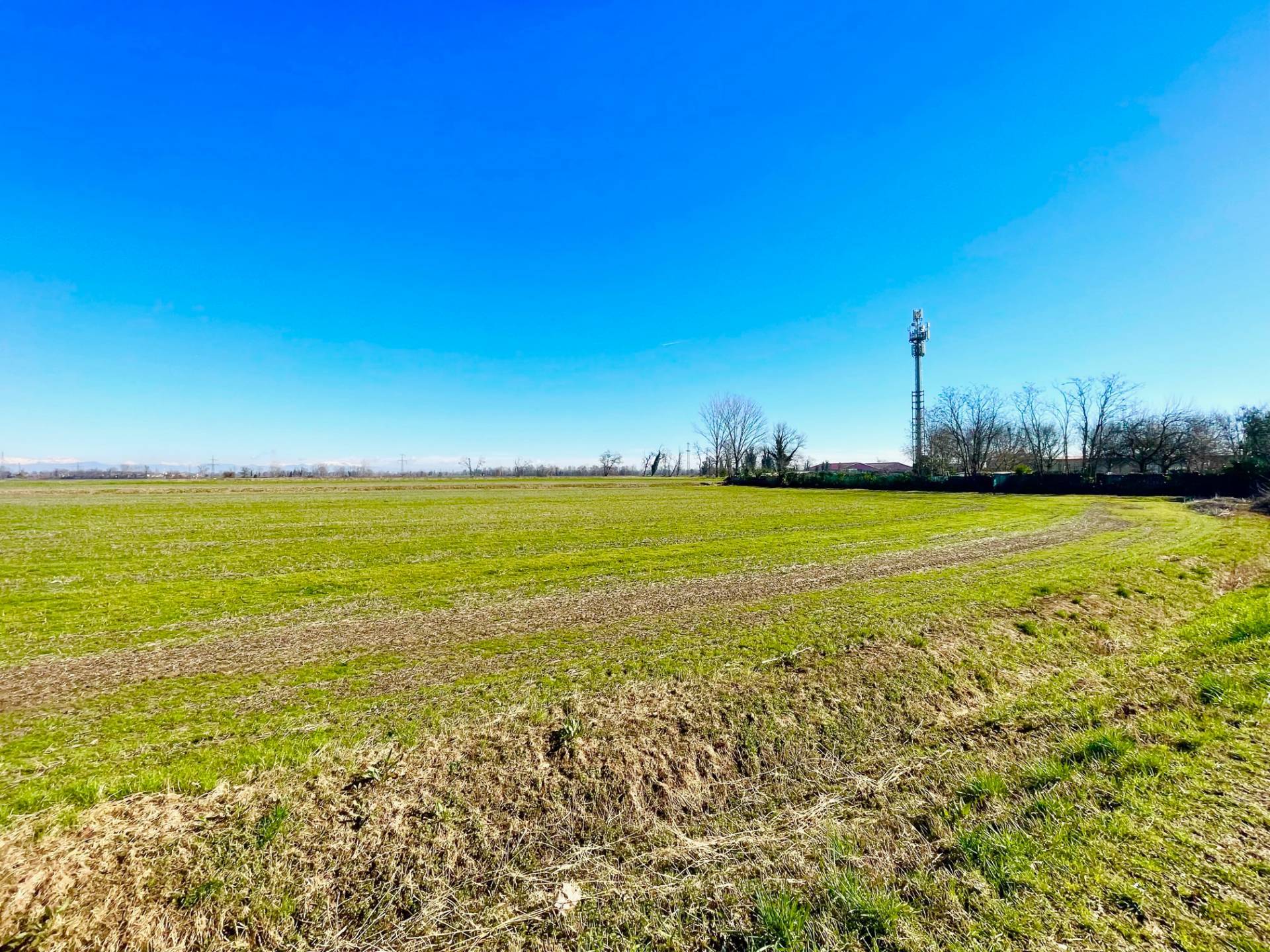Terreno Agricolo in vendita a Comazzo