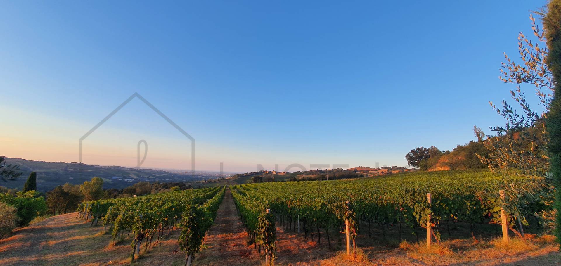 Terreno Agricolo in vendita a Borghi