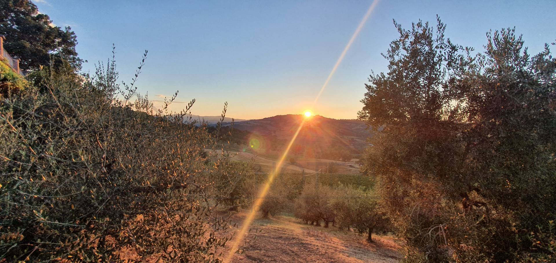Terreno Agricolo in vendita a Borghi
