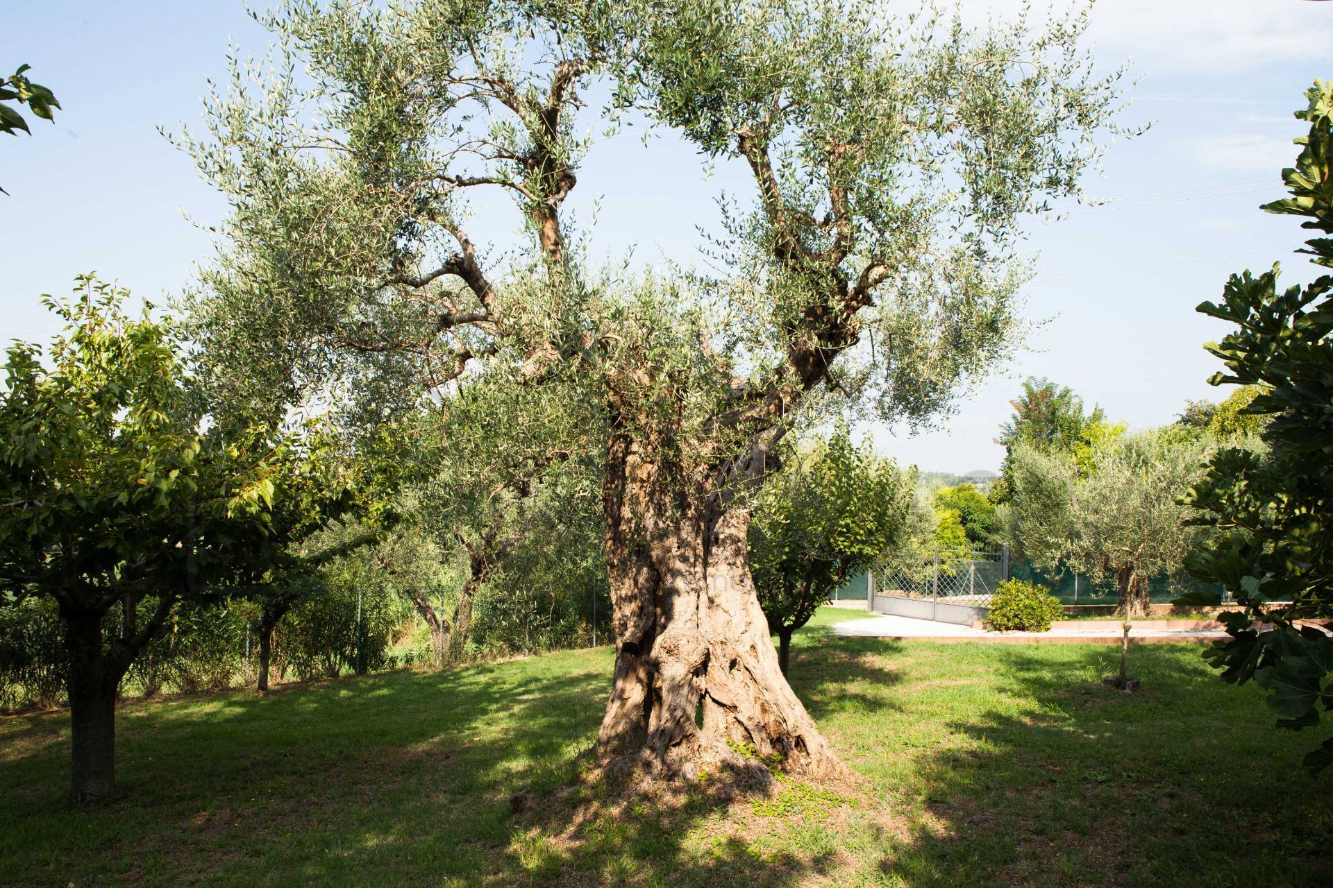 Villa in vendita a Rimini
