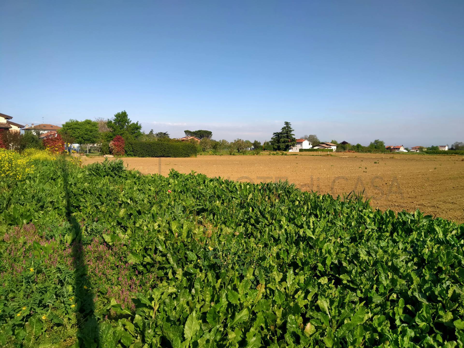 Terreno edificabile in vendita a Cesena, Gattolino